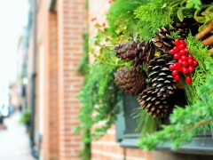 Goldschmidt|Shupe 2024 Holiday Hours